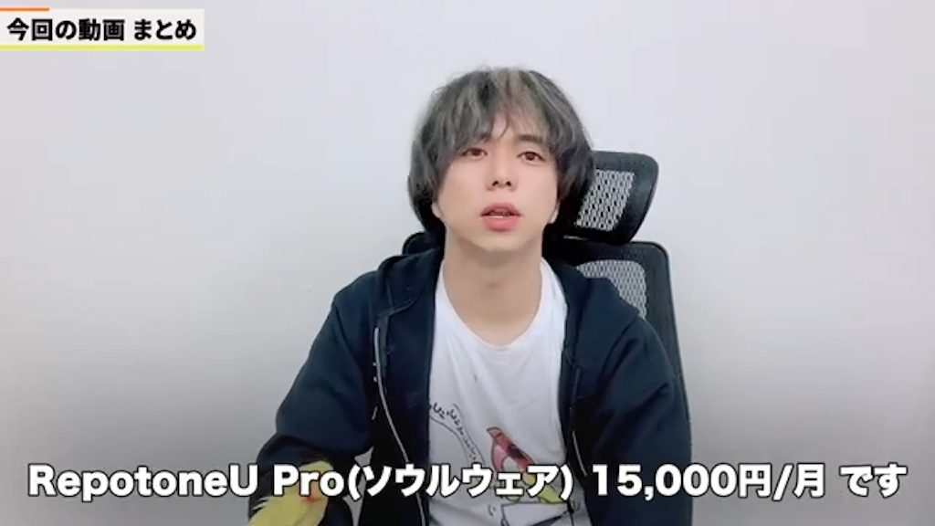 レポトンProは月額20,000円